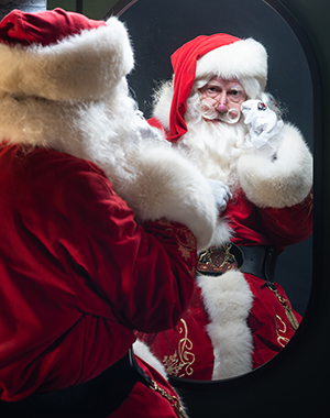 Templeton dressed up as Santa Claus examines himself in mirror.